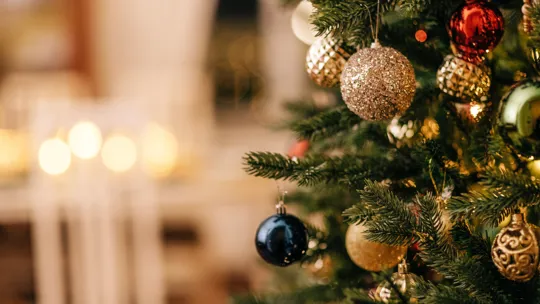 Christmas at St Brelade's Bay Hotel